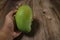 Close up of famous sweet mango in hand called Harum Manis  on top of wooden background