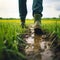 Close-up of a farmer\\\'s feet in rubber boots walking down a green farmer field. Low angle. Green fresh plants