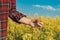 Close up of farmer`s hand holding blooming rapeseed plant