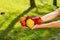 Close up of a farmer`s hands holding fruits and vegetables on the background of blurred greens