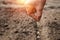 Close up of farmer`s hands, planting seeds in spring. The concept of the garden, the beginning of the season, summer cottage