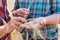 Close up of farmers examining wheat crop in field