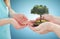 Close up of father and girl hands with oak tree