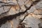 close-up of fault line, with visible cracks and pressure marks