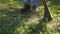 A close up of the feet of a gardener a worker and a trimmer who mows the grass