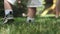 Close-up of the feet of a little boy in shorts and sandals walking on the grass on a sunny day.