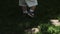 Close-up of the feet of a little boy in shorts and sandals walking on the grass on a sunny day.