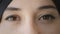 Close-up female black eyes of Muslim 20s woman Islamic girl gaze looking at camera good sight see problem with vision