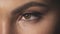Close up of female eye beautiful bright makeup skin care cosmetic, mascara woman eyelashes fluffy eyebrow perfect face of fashion