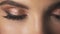 Close up of female eye beautiful bright makeup skin care cosmetic, mascara woman eyelashes fluffy eyebrow perfect face of fashion