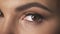 Close up of female eye beautiful bright makeup skin care cosmetic, mascara woman eyelashes fluffy eyebrow perfect face of fashion