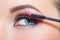 Close up of female eye and brush applying mascara