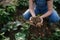 Close up of female famer hands holding soil outdoors at community farm.