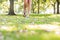 Close up of female feet wearing sandals walking on grass