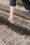 Close up female gardener`s hand seeds agriculture plant in soil, planting seeds