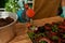 Close up of female gardener spraying liquid fertilizer for the feeding on the plant in small pot