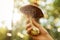 Close up of female hand with mushroom in forest