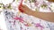 Close-up, female hand, painter, artist paints a picture of flowers in blooming spring apple orchard, she applies oil
