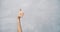 Close-up of female hand showing thumb up on a grey background. Copy space