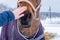 Close-up of a female hand stroking the muzzle of a brown horse in the countryside in winter