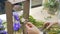 Close-up female hands of a florist making up a flower arrangement in a workshop or flower shop.