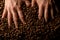 close-up of female hands immersed in dark roasted aromatic coffee beans