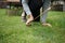 Close up of female hands pegging down a tent on grass.