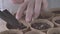 close-up of female hands transplant seedlings into seedling cardboard cups, sprouted seeds of cucumber vegetable plants, spring