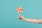 Close up female holding in hand colorful round lollipop isolated on blue turquoise wall background. Proper nutrition or