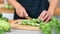 Close-up female housewife hand chopping fresh cucumber using knife enjoying healthy lifestyle