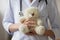 Close up of female nurse hold fluffy teddy bear