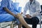 Close-up of female physiotherapist massaging the leg of patient in a physio room