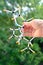 close-up of female scientist\\\'s hands holding of molecules atoms in compound