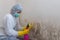 Close up of a female worker of cleaning service removes mold from wall using sponge and spray bottle with mold remediation