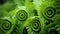 close-up of a fern\\\'s fiddlehead texture pattern, showcasing the spiral-shaped new growth by AI generated