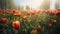 Close Up of a Field of colorful Tulips