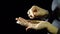 Close-up of fingers move a seed of flax in hand on a black background.