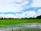 Close up of fire with candle.Green cornfield with blue sky and clouds in the morning at Thailand.