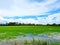 Close up of fire with candle.Green cornfield with blue sky and clouds in the morning at Thailand.