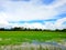 Close up of fire with candle.Green cornfield with blue sky and clouds in the morning at Thailand.