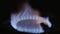Close-up of a fire in a gas stoker on a gas stove