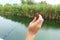 Close-up of a fisherman`s male hand throws a piece of fish bait into the water.