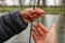 Close-up of a fishing rod, line and a hook with worm in hands. River and forest in the background