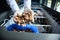 Close-up. Fishmonger`s hand at a fish store holding sea mussels taken out from a refrigerator full of frozen seafood