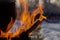 Close-up of the flame and the pot.Selective fire focus with orange flames and wood. The concept of leisure in the fresh air