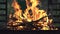 Close-up flames of a campfire, wood, coals, ash. Fire for a barbecue in the summer evening. Beautiful natural video 4K.Closeup bon