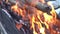 Close-up flames of a campfire, wood, coals, ash. Fire for a barbecue in the summer evening. Beautiful natural video 4K.Closeup bon