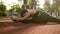 Close up of flexible woman sitting on a twine on the stadium near the park, the lady stretches in different directions