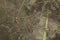 close-up: floating sludge grass and bulrush in an artifical lake