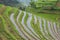 Close up of flooded rice terraces at Ping`ancun village